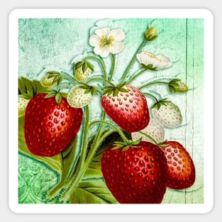 Strawberries Vintage Fruit Strawberry Design Retro Sticker